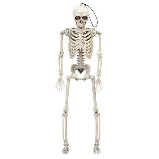14" Skeleton by Ashland®